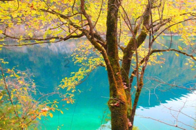 山东确定16个县（市、区）为人才引领县域高质量发展试点县（市、区）